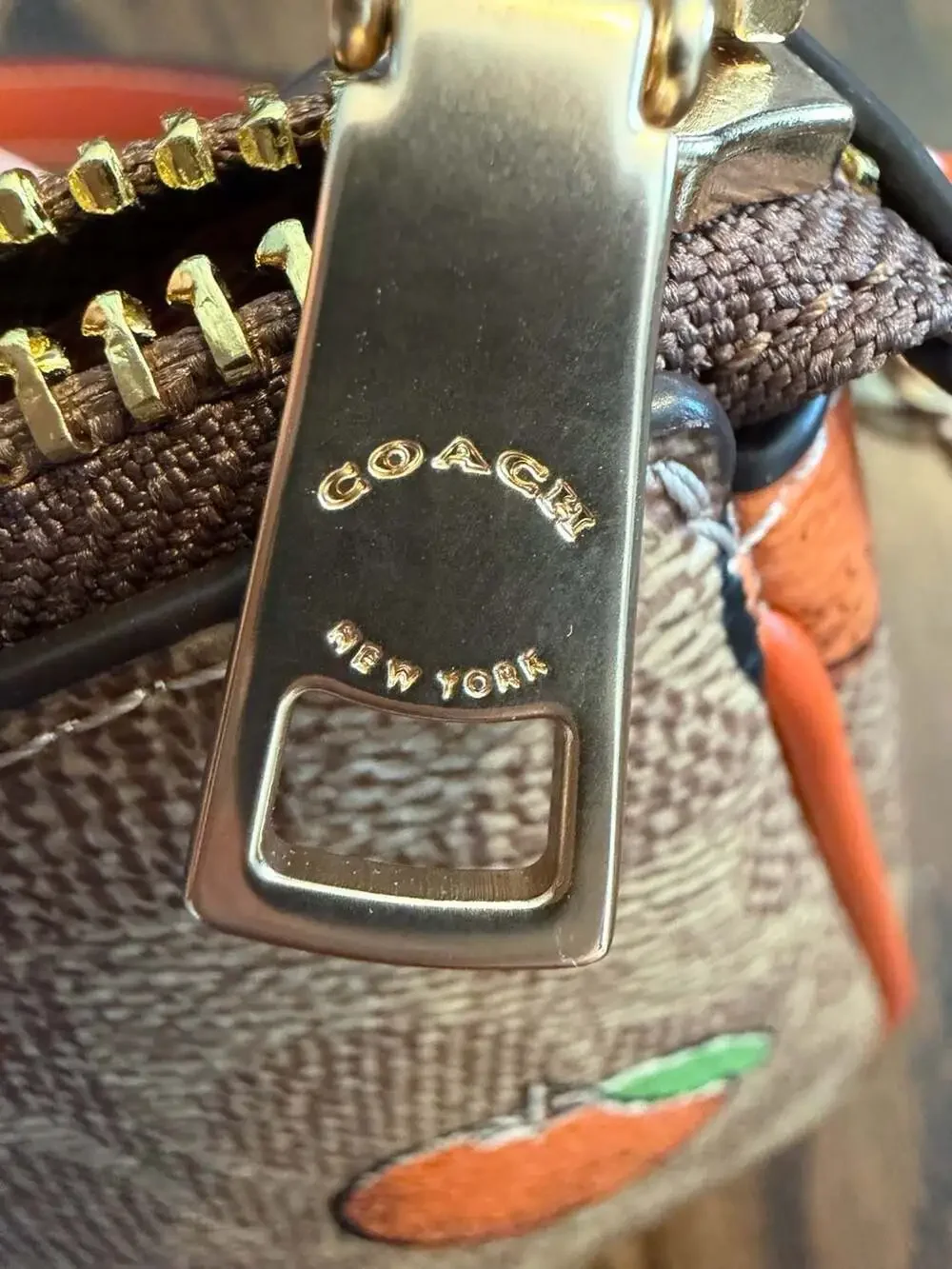 Coach zip card